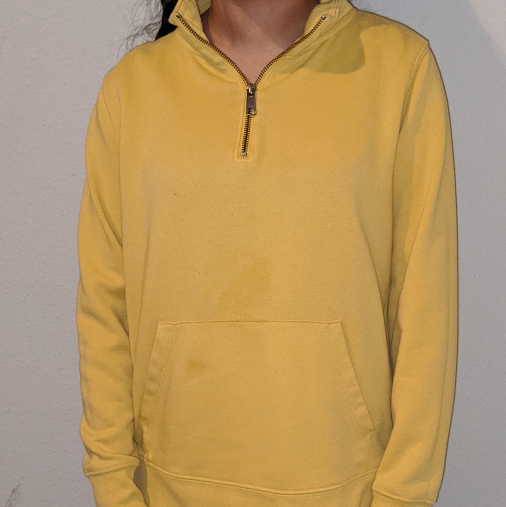 Yellow jacket - Picture 5 of 5